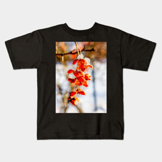 Winter Bittersweet Kids T-Shirt by Robert Alsop